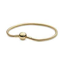 Браслет Moments в Pandora Shine
