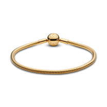 Браслет Moments в Pandora Shine