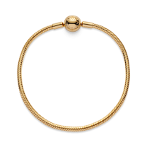 Браслет Moments в Pandora Shine