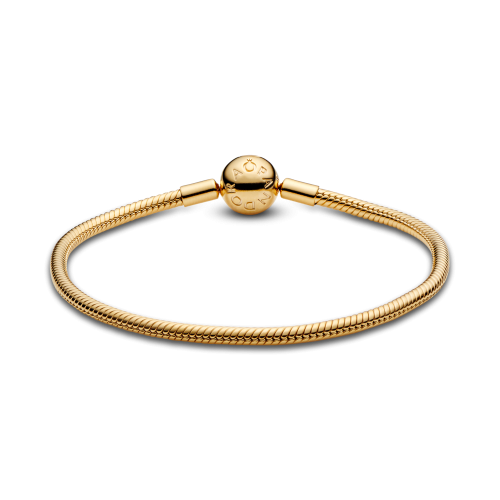 Браслет Moments в Pandora Shine